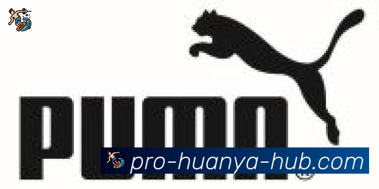 环亚体育合作伙伴